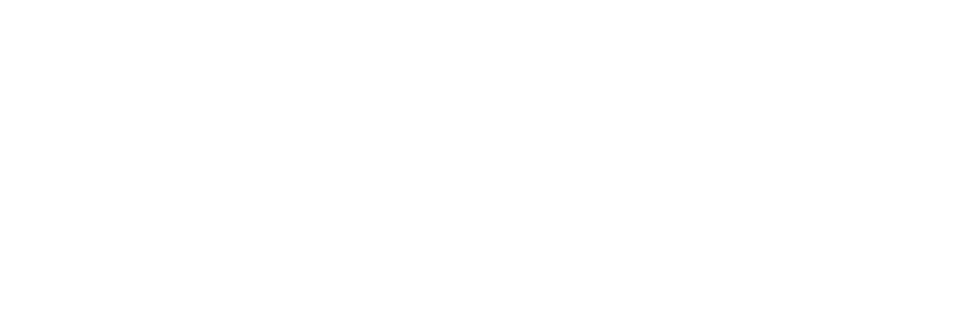 bitsai logo